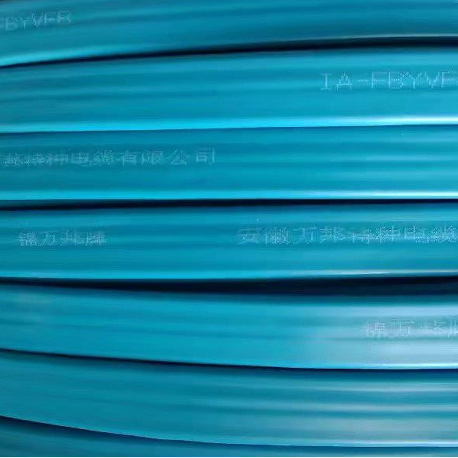 特种电缆YVFB 0.6/1KV 3*10+1*6
