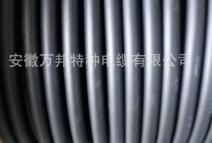 SJTW特种电缆