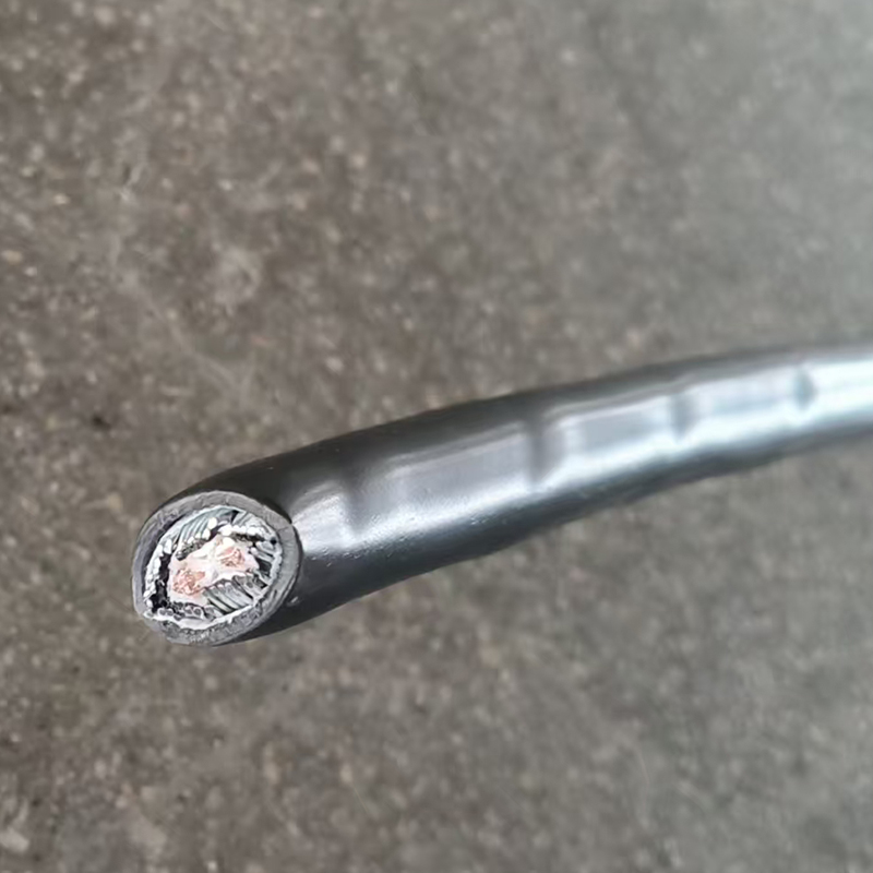 ZA-YJV32 2×6mm²特种电缆